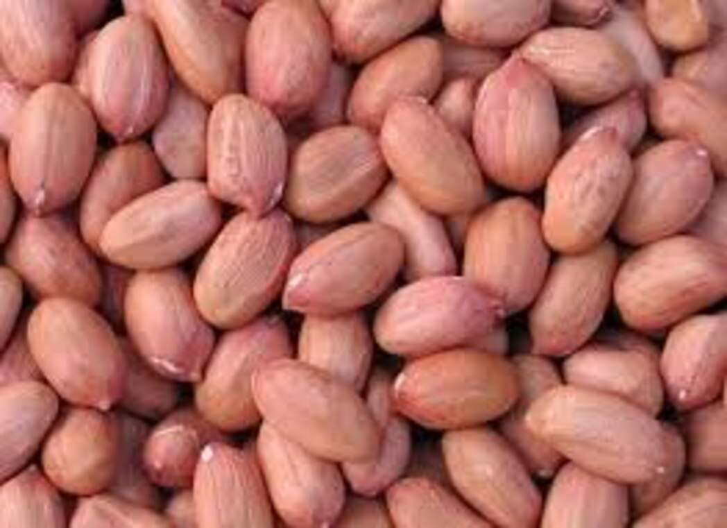 Blended Groundnut