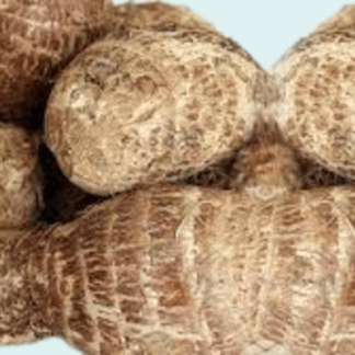 Cocoyam