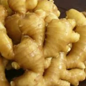 Ginger R