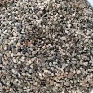 Fresh Iru Dawadawa Locust Beans Spice