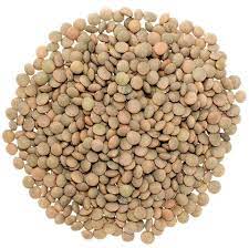 Lentils