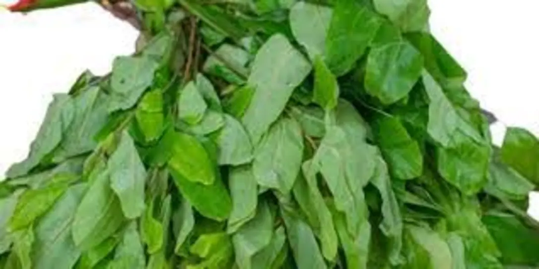 Oha leaves Naija Food Basket Hub