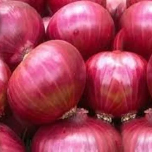 Fresh Red Onions for cooking and healthy meals