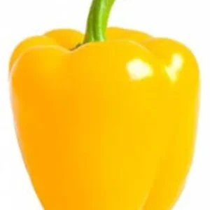 Fresh Yellow Pepper for cooking and healthy meals