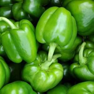 Green Bell Pepper 1