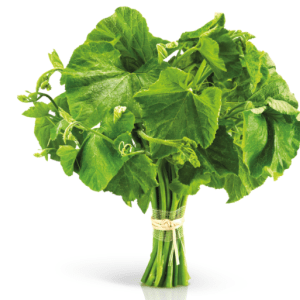 Fresh Green Ugu Leaves