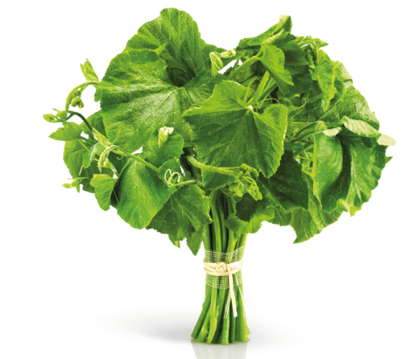 Fresh Green Ugu Leaves